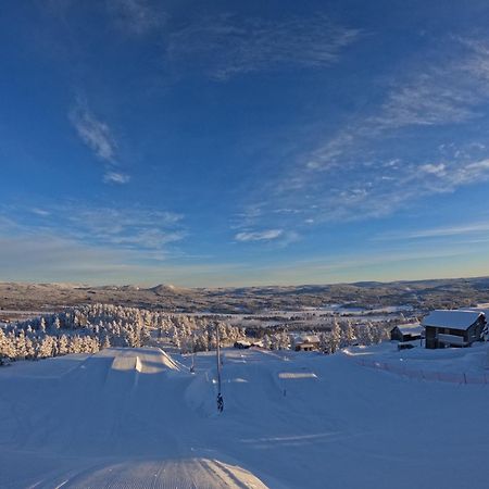 Toppvillan - Ski In - Ski Out - 200 M Till Toppen Och Cykelleder Järvsö Kültér fotó